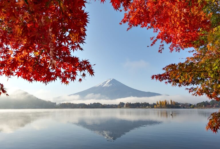 日本楓葉│富士山