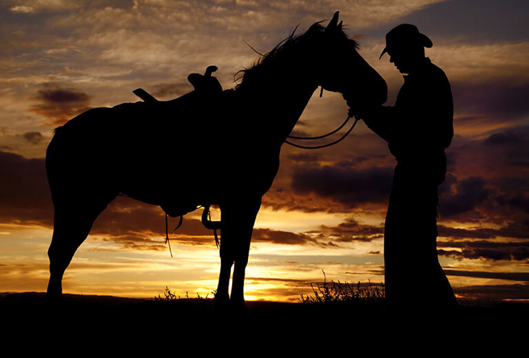 「唐吉軻德」精神